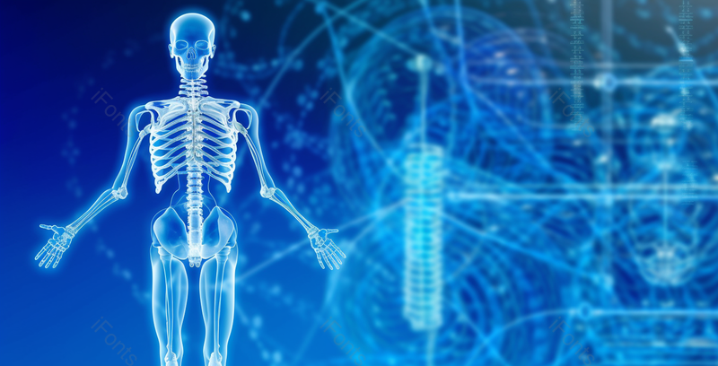 蓝色生物科技线条年轻人物骨骼透影,高清,摄影图,摄影图片,图片大全,摄影图免费下载